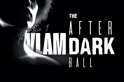 The After Dark Ball